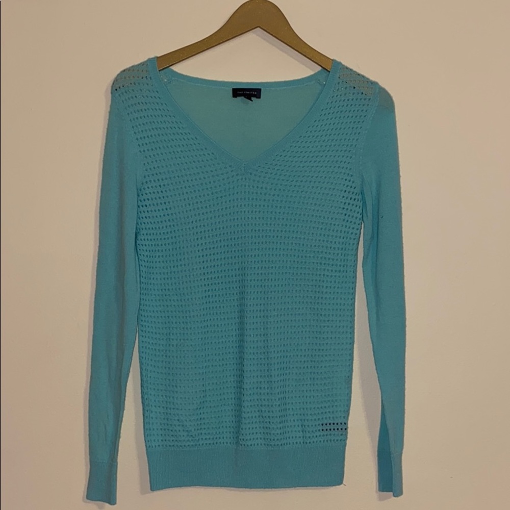 The Limited baby blue wool sweater
